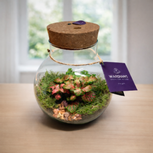 Terrarium in vetro a forma di ampolla con piante di Fittonia dalle venature rosse, muschio e ciottoli, chiuso da un tappo in sughero con luce LED integrata, posizionato su un tavolo in legno.
