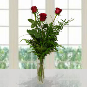 Composizione floreale di 3 rose rosse a gambo lungo con foglie di felce verde in un vaso di vetro cilindrico trasparente, sfondo luminoso.
